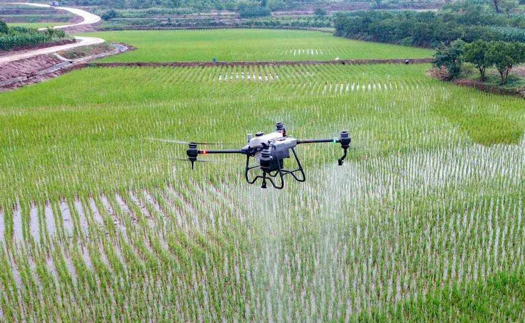 La prueba con drones ayuda a atacar los herbicidas y mejorar la calidad del agua.